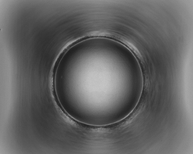 X0000116320992200912011109