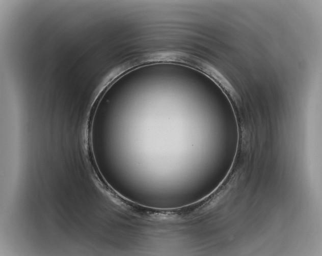 X0000116320994200912011109