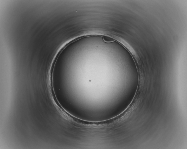 X0000116320996200912011109