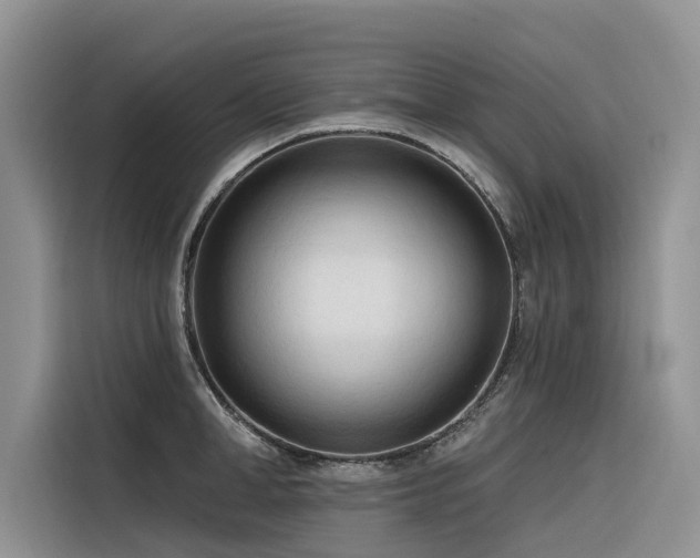 X0000116320998200912011109