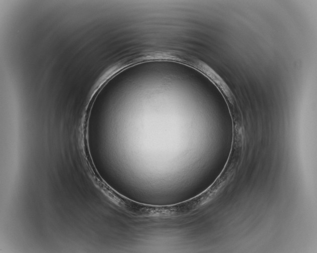 X0000116321002200912011109