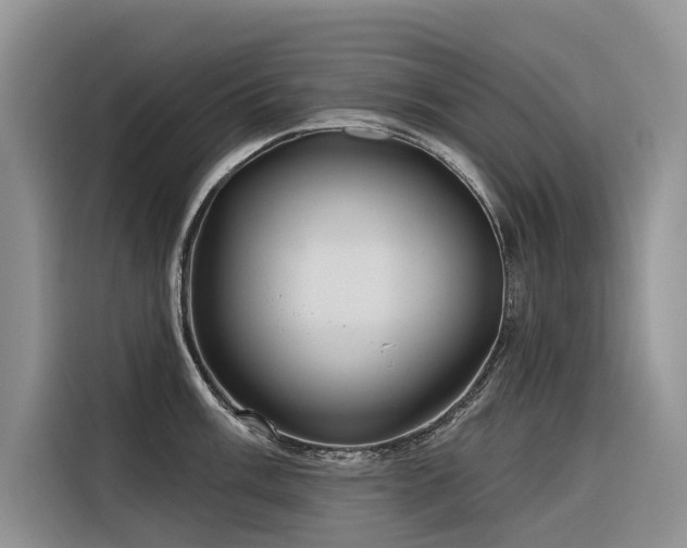 X0000116321003200912011109