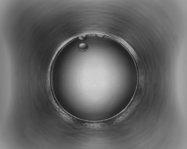 X0000116321004200912011109