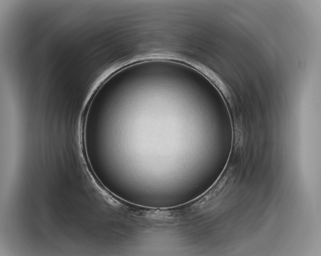 X0000116321006200912011109