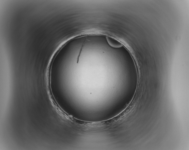 X0000116321008200912011109
