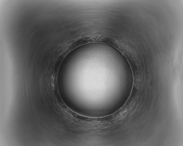 X0000116321010200912011108