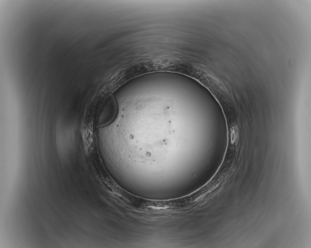 X0000116321011200912011108