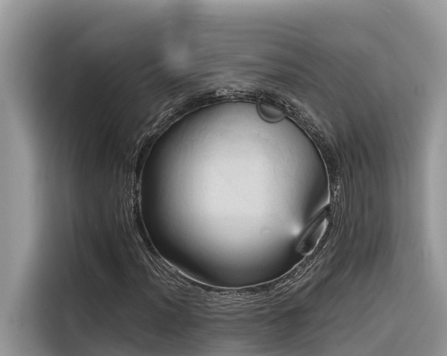 X0000116321012200912011108
