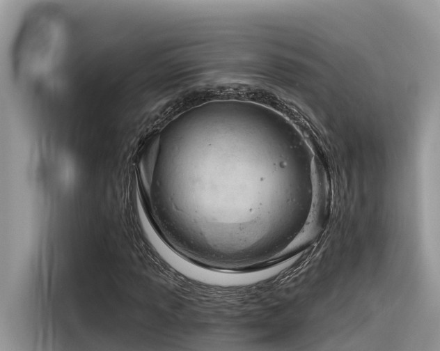 X0000116321013200912011108
