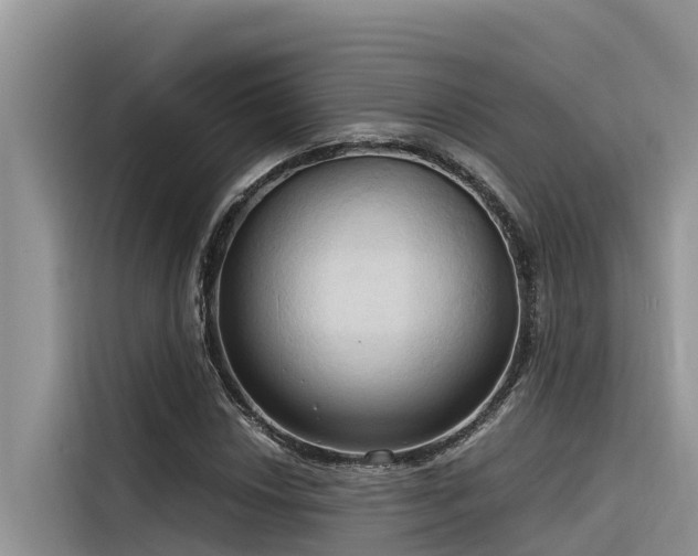 X0000116321018200912011108