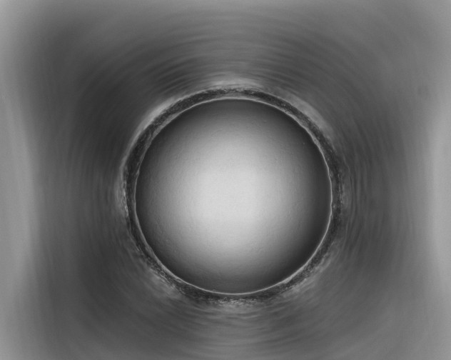 X0000116321022200912011108