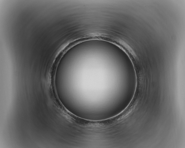 X0000116321023200912011108