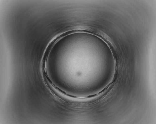 X0000116321024200912011108