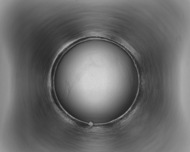 X0000116321028200912011108