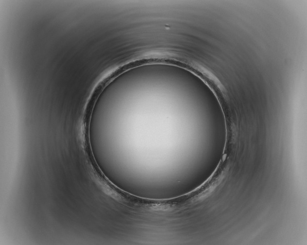 X0000116321029200912011108