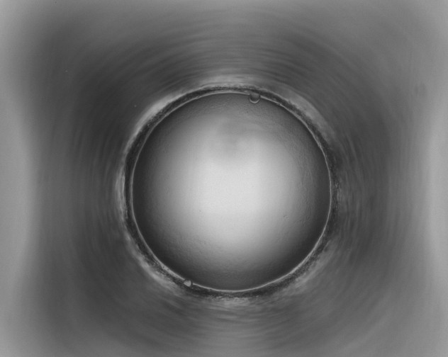 X0000116321030200912011108