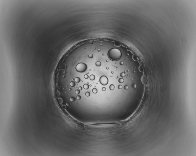 X0000116321031200912011108