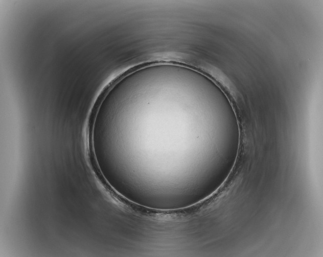 X0000116321032200912011108