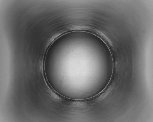 X0000116321033200912011108