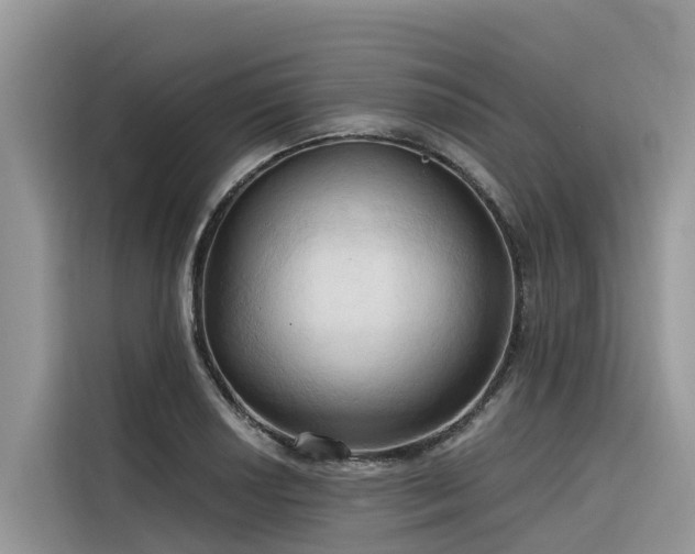 X0000116321034200912011108