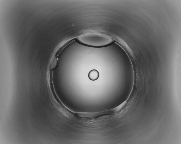 X0000116321035200912011108