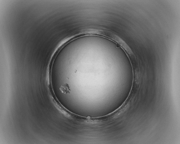 X0000116321036200912011108