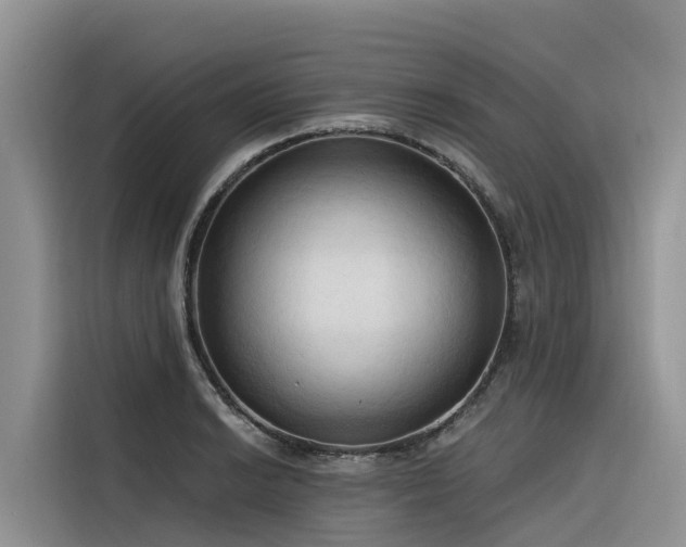 X0000116321038200912011108