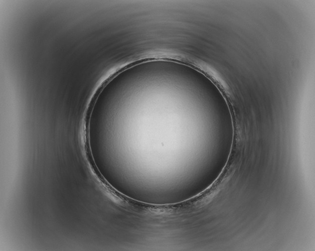 X0000116321040200912011108
