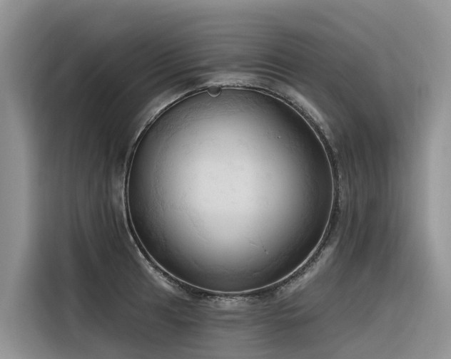 X0000116321041200912011108