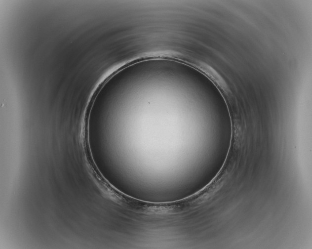 X0000116321044200912011108