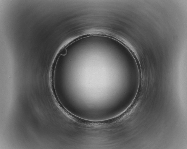 X0000116321045200912011108
