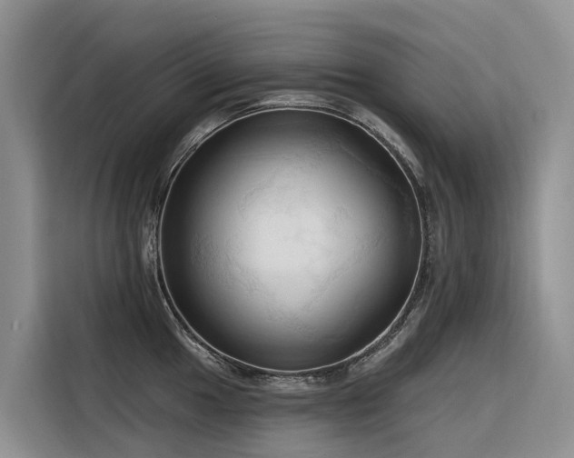 X0000116321049200912011108