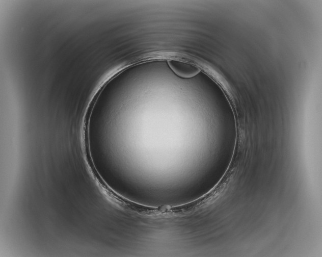 X0000116321050200912011108