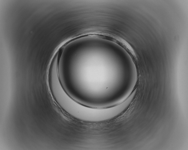 X0000116321051200912011108