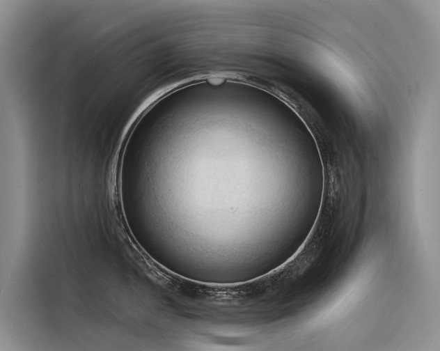 X0000116321052200912011108
