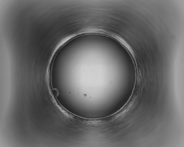 X0000116321053200912011108