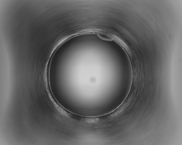 X0000116321055200912011109