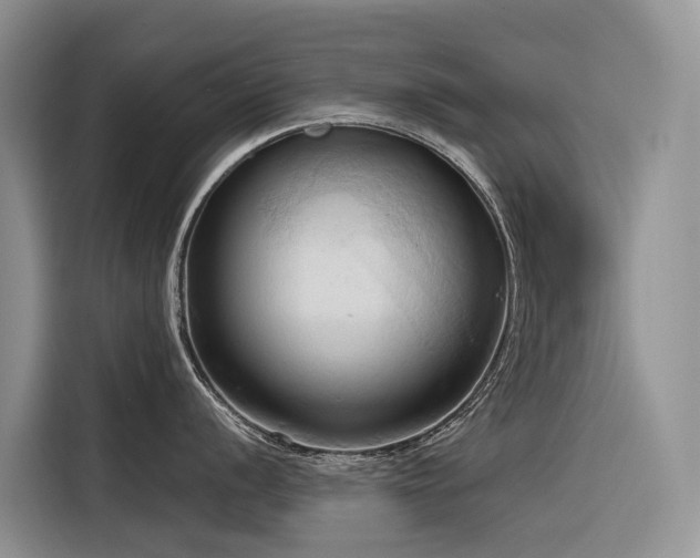 X0000116321056200912011109