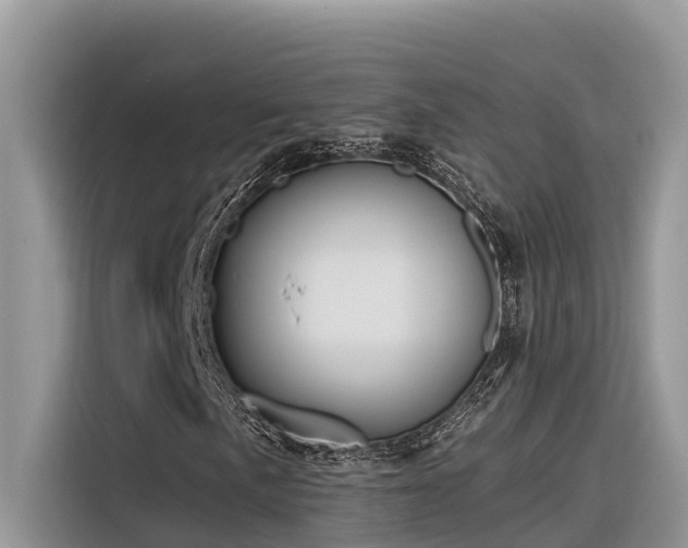 X0000116321057200912011108