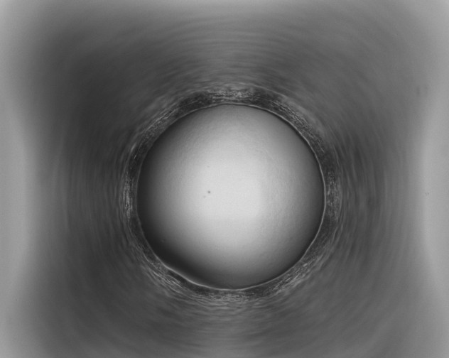 X0000116321058200912011108