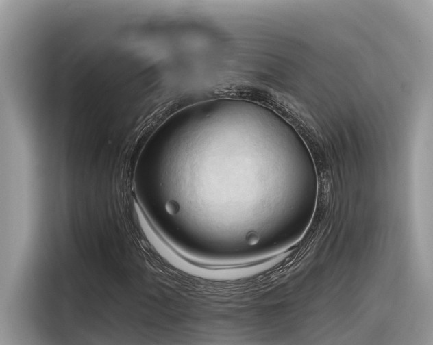 X0000116321060200912011108