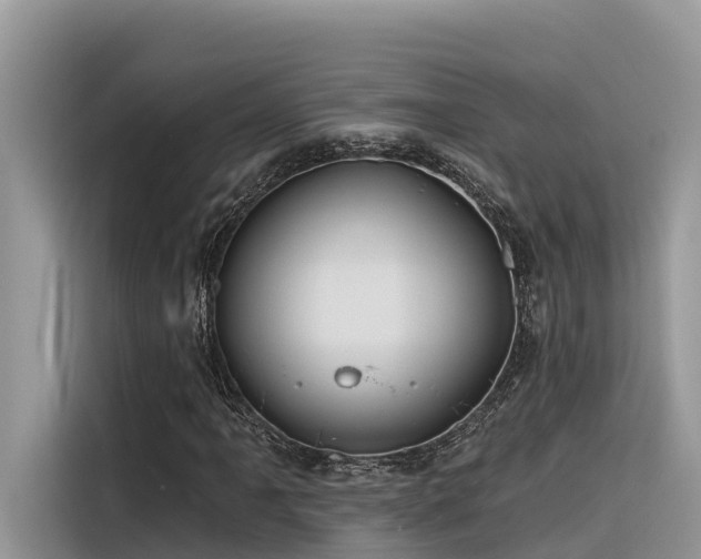 X0000116321061200912011108