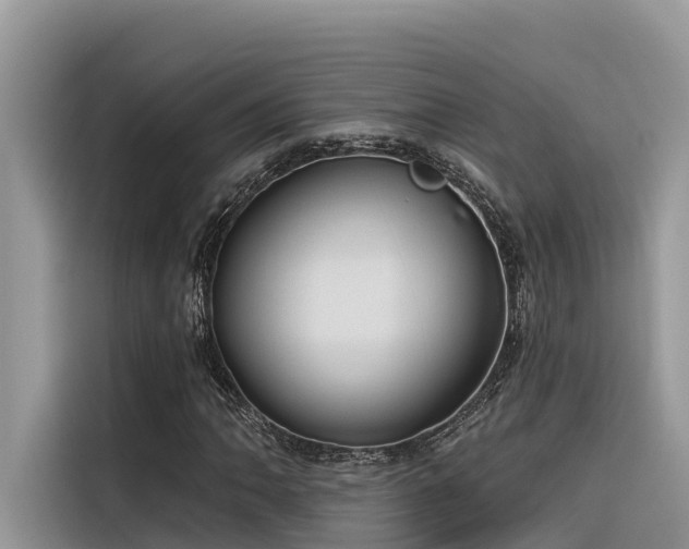 X0000116321062200912011108