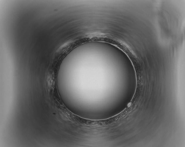 X0000116321063200912011108