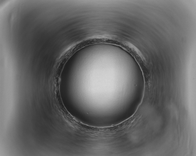 X0000116321064200912011108