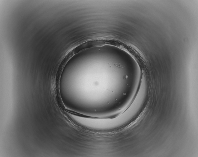 X0000116321065200912011108