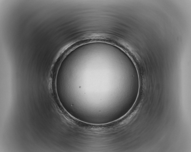 X0000116321066200912011108