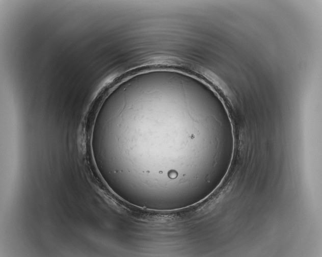 X0000116321067200912011108