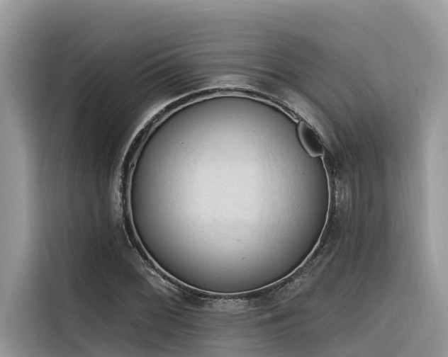 X0000116321068200912011108