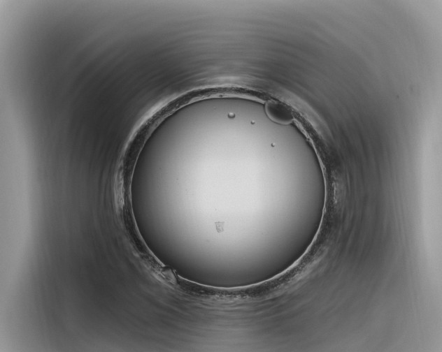 X0000116321069200912011108